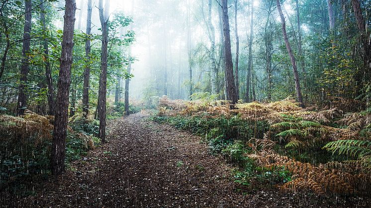 A SUSTAINABLE JACKET FOR UNRELIABLE WEATHER | L.I.M PROOF