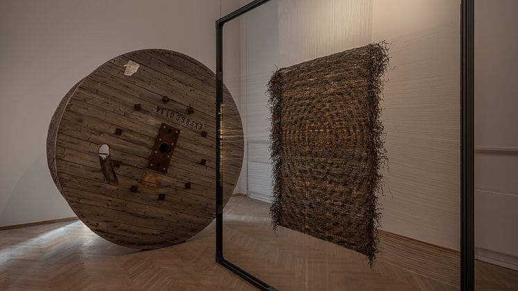 Honey Biba Beckerlee, Swarming / Swimming, 2022