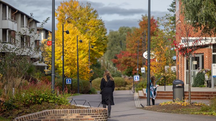 Promenad i Backa    bild: Niklas Maupoix