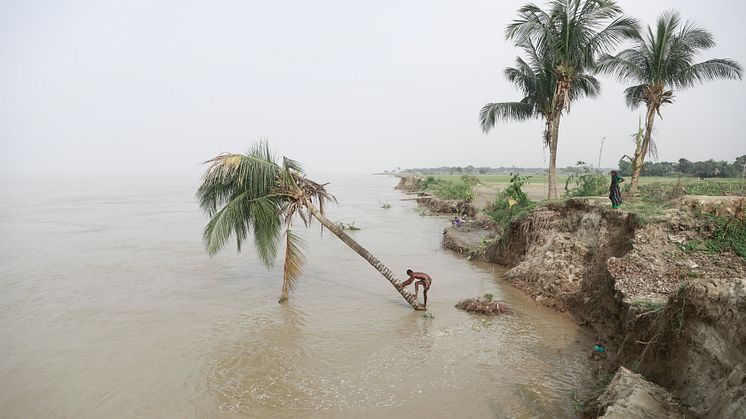 Nature and human displacement, 2011 - 