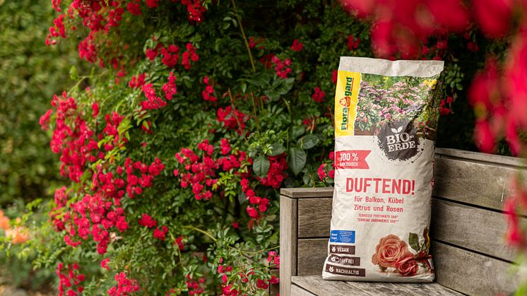 Floragard_Duftend_Packung Gartenambiente