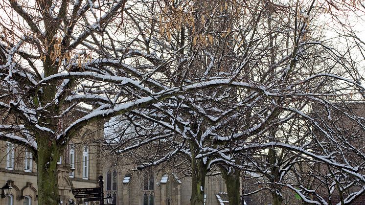 Deck the boughs with bells and holly