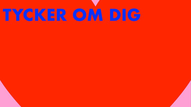 Lili & Susie omslag Tycker om dig.jpeg