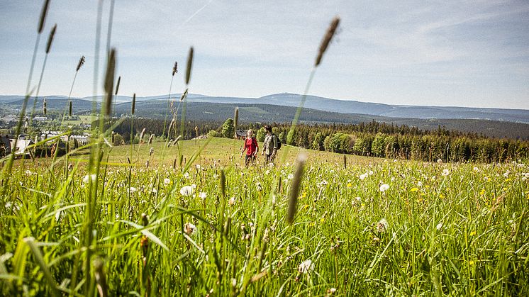 Kammweg Wandern_Foto TVE_Rene Gaens.jpg