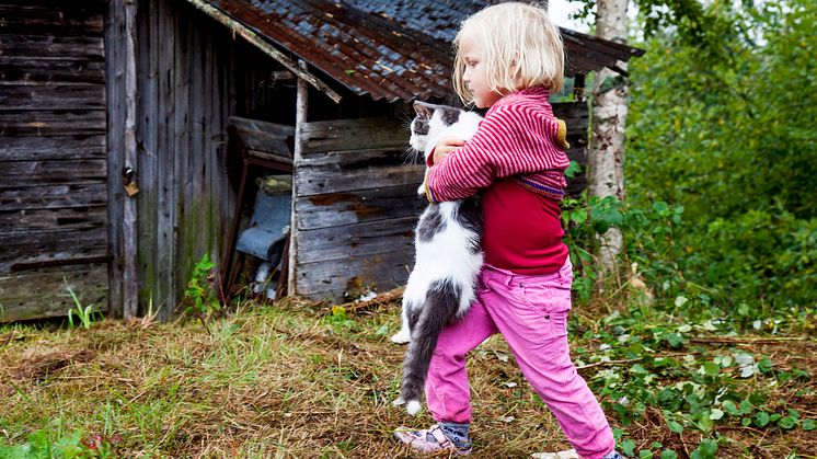 Herfra gårdsmat og matkultursenter