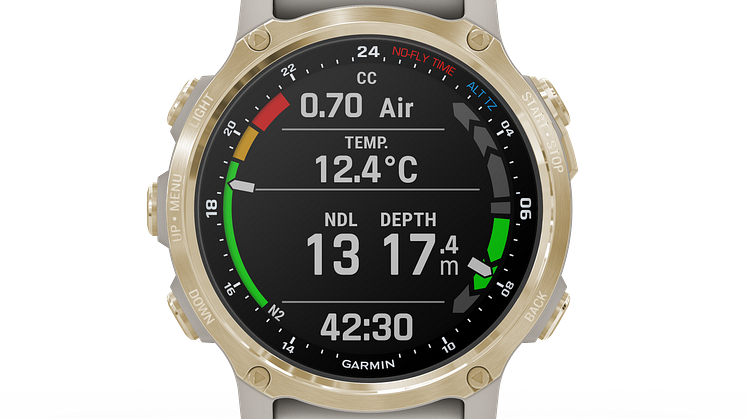 Garmin Descent Mk2S