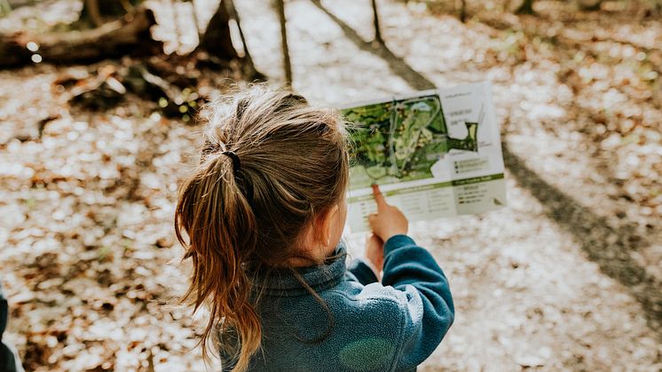 Foto: Sandra Seitamaa/Unsplash