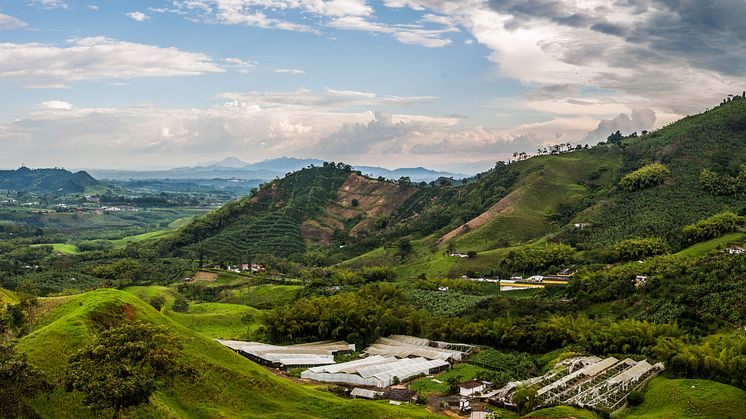 2940442_Nestle_Colombia_15-4623