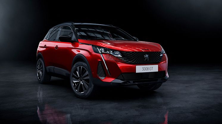 PEUGEOT_3008_2009STYP_010B