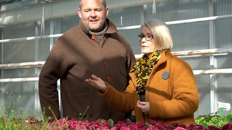 I andra filmen samtalar Titti Olsson, Tankesmedjan Movium vid SLU och chefredaktör för Tidskriften STAD, med trädgårdsmästare John Taylor. Foto: Anders Rasmusson, SLU