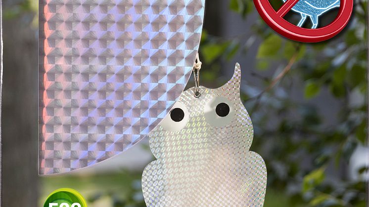 22340_Shiny Owl_F.jpg