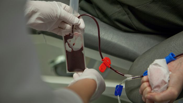 Blodgruppen lämnar blod