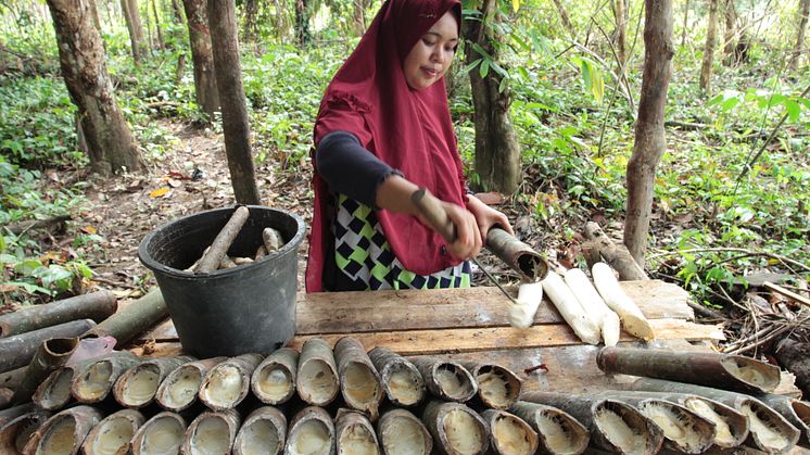 Sustainable Rubber Supply Chain4_Continental_GIZ Canopy Indonesia.JPG
