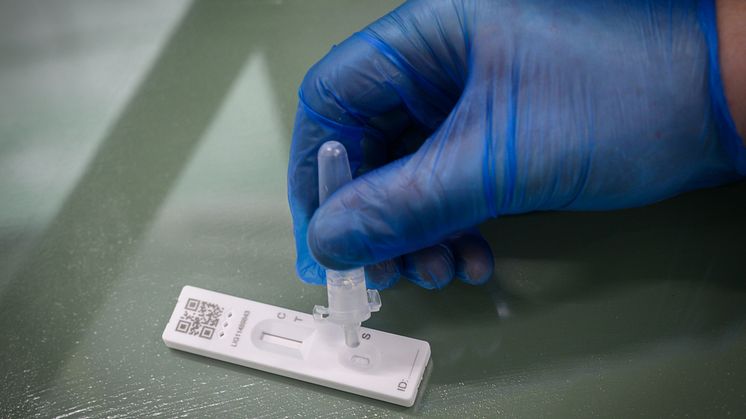 Lateral flow testing