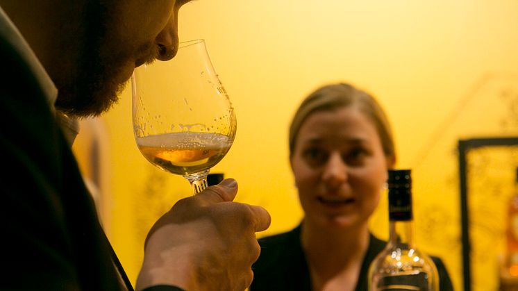 En Öl & Whiskymässa 2013