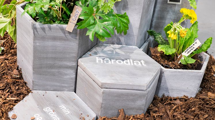 Snart öppnar Nordiska Trädgårdar