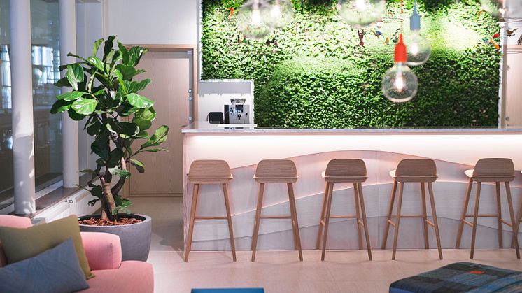 Holistics juicebar