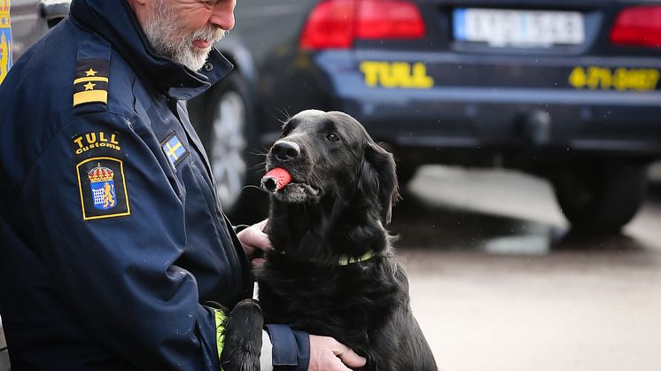 Hicka är Årets narkotikasokhund 2015