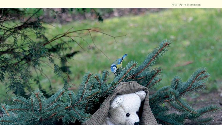 Mit Bärenherz durchs Jahr -  Der neue Bärenherz-Kalender ist da