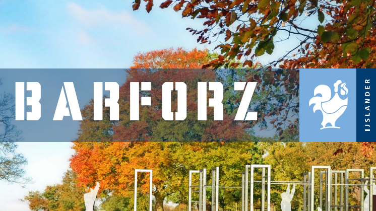 Barforz - SE.pdf