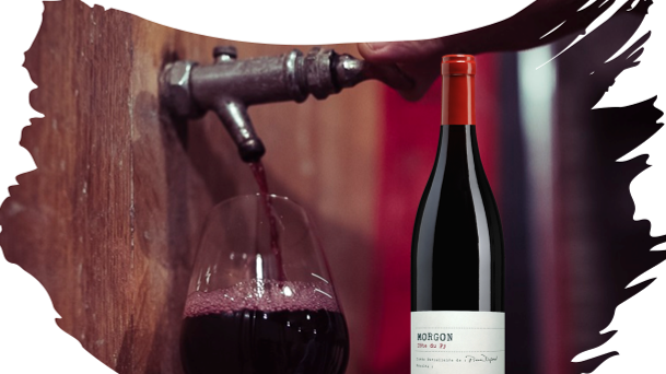 Nyhet! 21 april lanserar vi en härlig och fyllig Beaujolais Cru i det exklusiva sortimentet på Systembolaget