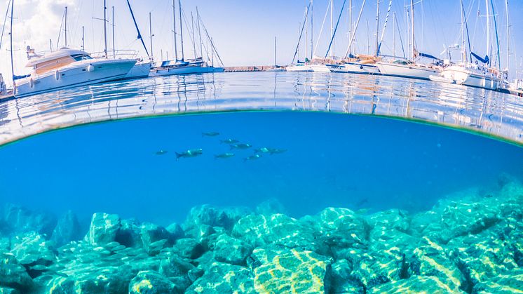 Karpaz Gate Marina Basin