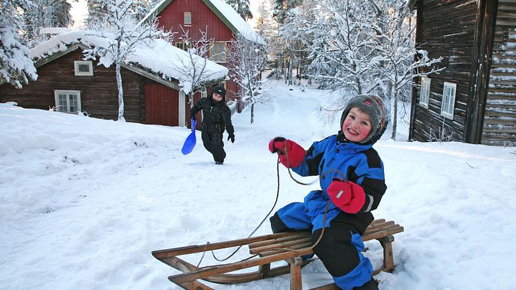 Vinter_015