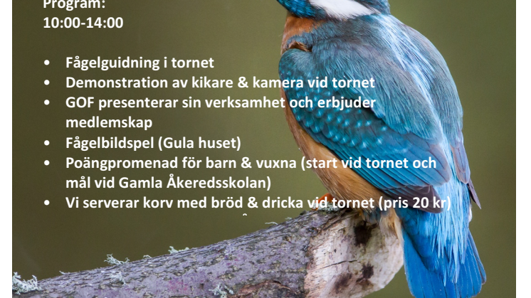 Fågelskådningens dag 8 maj i Göteborg