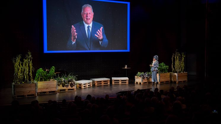 Al Gore_Rebecka Bjurmell