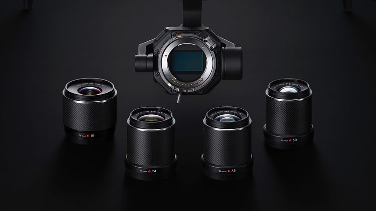 DL mount horizontal version