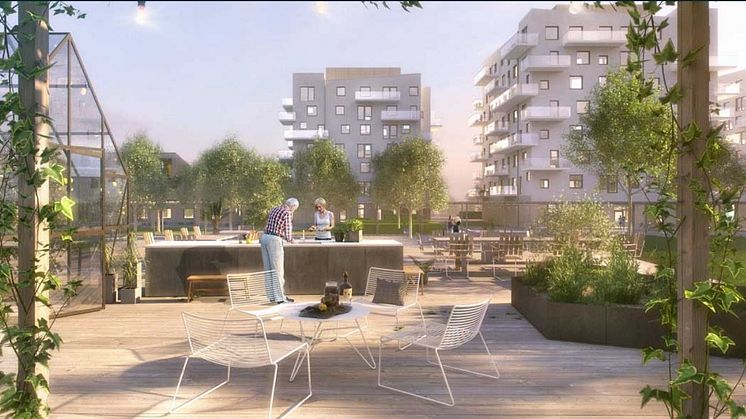 hofs park-innergård