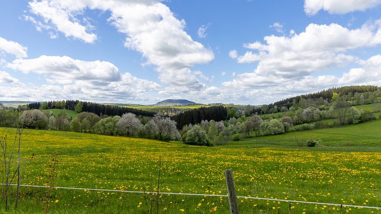 Die Natur erwacht im Schindelbachtal (Foto: TVE/Ronny Küttner)