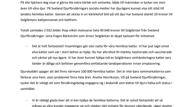 40 000 kr till hemlösa katter i Alla hjärtans dag-gåva 