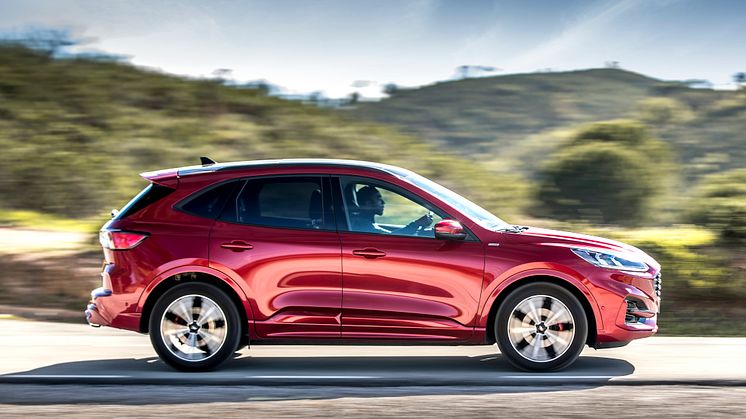 Ford EcoBlue Hybrid 2020
