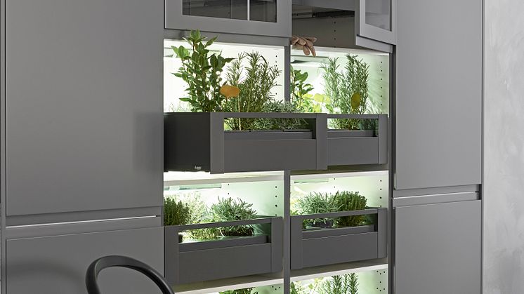 Sigdal Horisont, S 5500-N