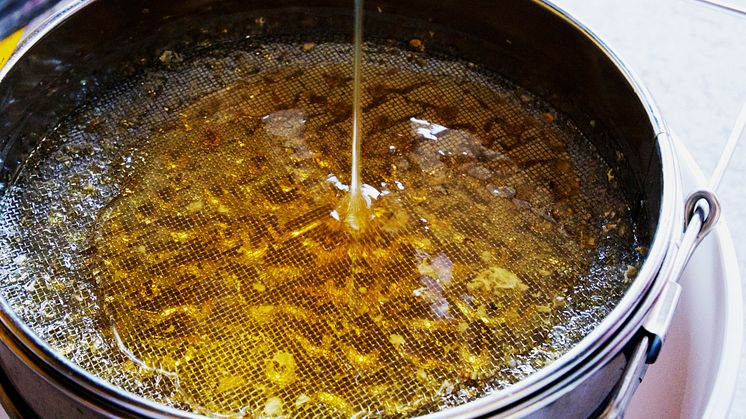Nyslungad honung