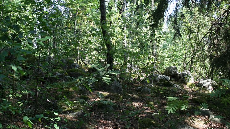 Gravfält blir pedagogisk park