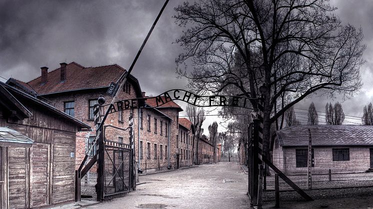 Premiere på H2: The Unseen Holocaust
