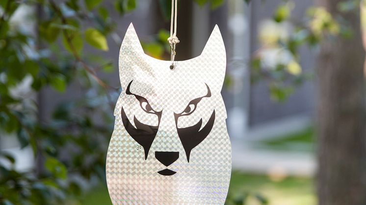 22345_Shiny Wolf_tree.jpg