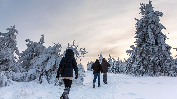 Winter-Wandern im Erzgebirge