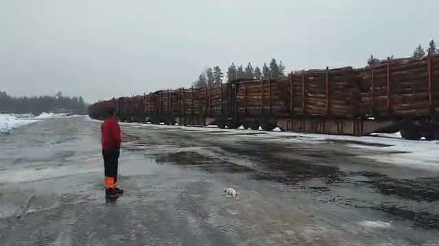 Det första timmertåget kommer till terminalen i Malungsfors. Det är lastat med 1200 m3 talltimmer från Gävle och ska vidareförädlas till trävaror på Fiskarhedens sågverk.