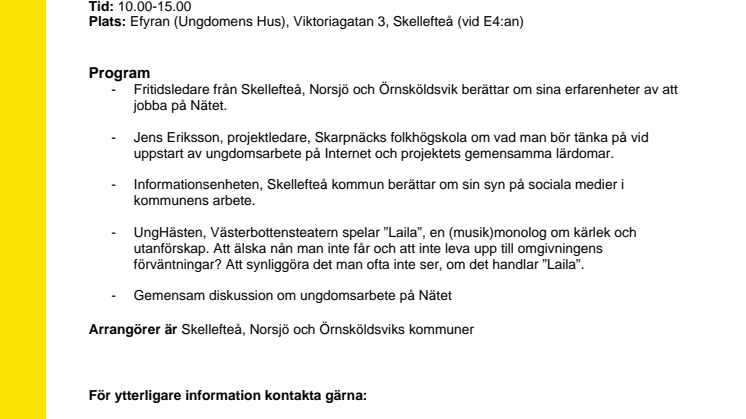 Fritidsledare på nätet samlas i Skellefteå