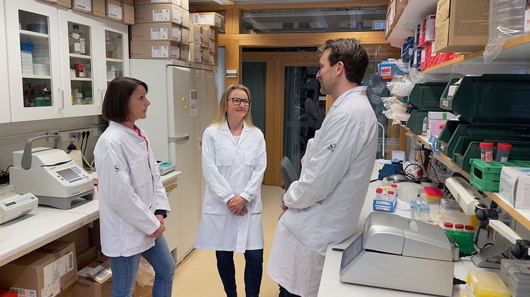 Epigenetiska förändringar kan orsaka typ 2-diabetes. Tina Rönn, Charlotte Ling och Karl Bacos. Foto: Petra Olsson