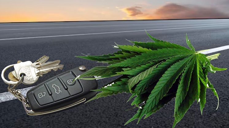BADS: "Bei Cannabis-Grenzwert Rechtssicherheit und Verkehrssicherheit in Einklang bringen"