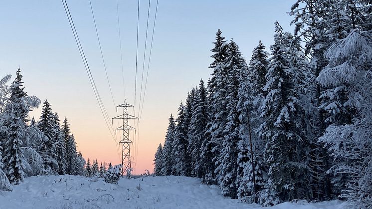 Så blir elnätsavgifterna 2023 