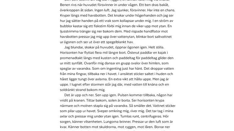 Min Tolkning - Annons 2