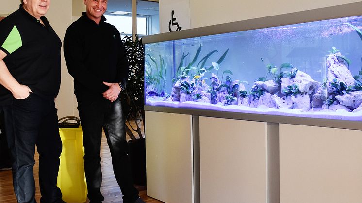 De to fiskeeksperter ses her foran et nyinstalleret akvarie