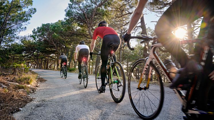 Mehr Sicherheit beim Radfahren im Frühling 2024: Mit Garmin Varia den Überblick im Straßenverkehr behalten!