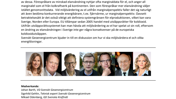 Ful-el, finns den? Ett Almedalsseminarium om marginalel