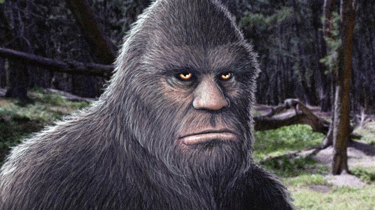 America's Book of Secrets: The Mystery of Bigfoot
